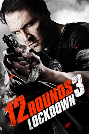 12 Rounds 3 Lockdown 2015 Hindi Dual Audio 720p BluRay [780MB]