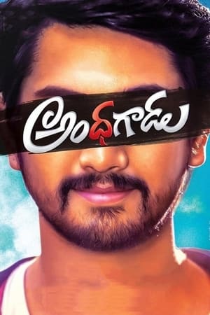 Andhhagadu 2017 Hindi Dual Audio 480p Uncut HDRip 400MB