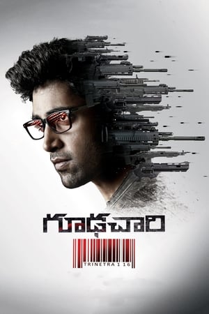 Goodachari (2018) (Hindi - Telugu) Dual Audio 480p UnCut HDRip 450MB