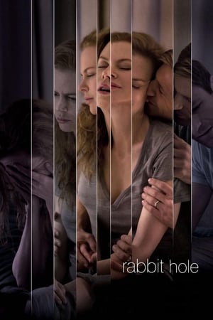 Rabbit Hole (2010) Hindi Dual Audio 480p BluRay 300MB